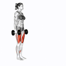 Lunges exercise for lower body strength and balance.